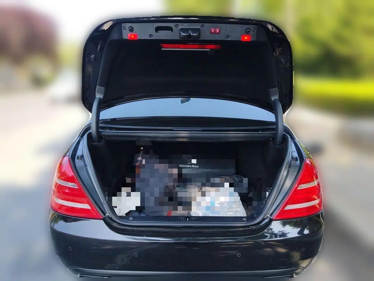 Mercedes-Benz S-Class 2010 S 300 L Luxury Model — миниатюра 19