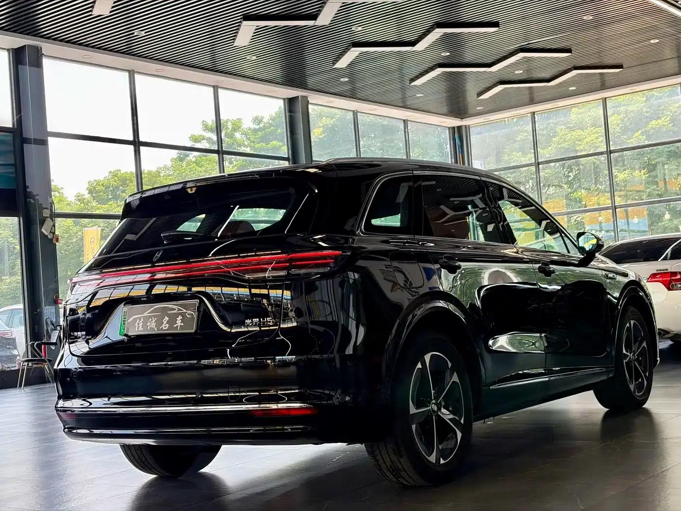 2025 Shangjie H5 Extended Range Max — миниатюра 6