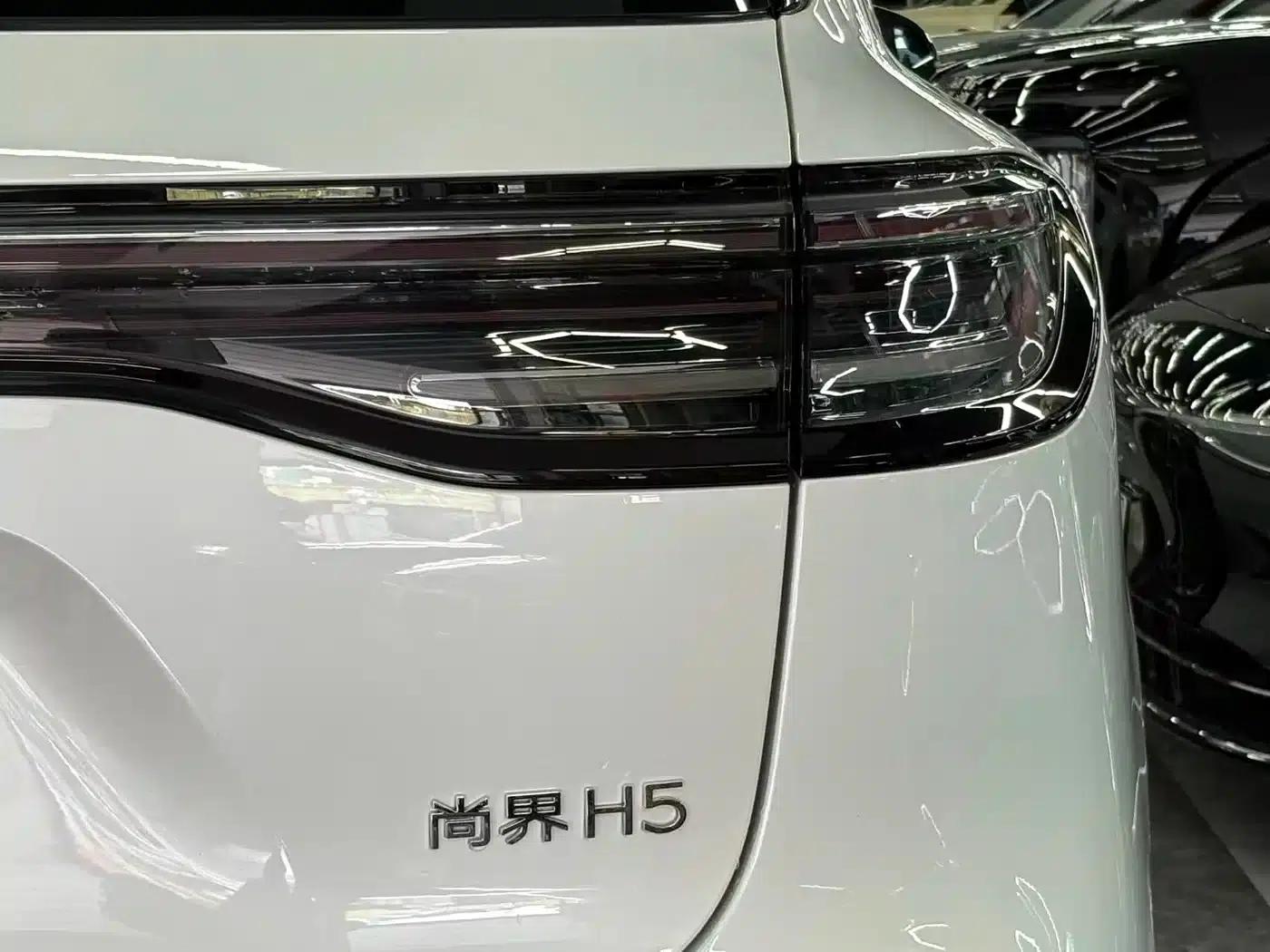 2025 Shangjie H5 Extended Range Max — миниатюра 17