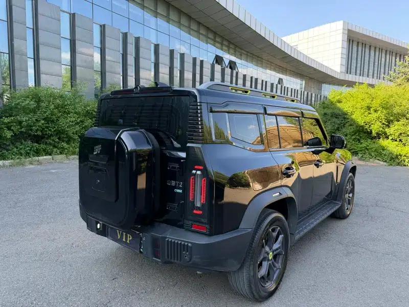Jetour Traveler C-DM 2024 1.5TD DHT 129km 2WD Forest Edition — миниатюра 4