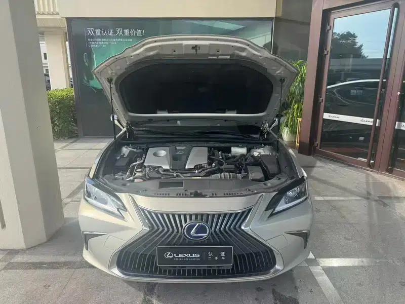 Lexus ES 2020 300h Premium Edition (China VI Emission Standard) — миниатюра 6