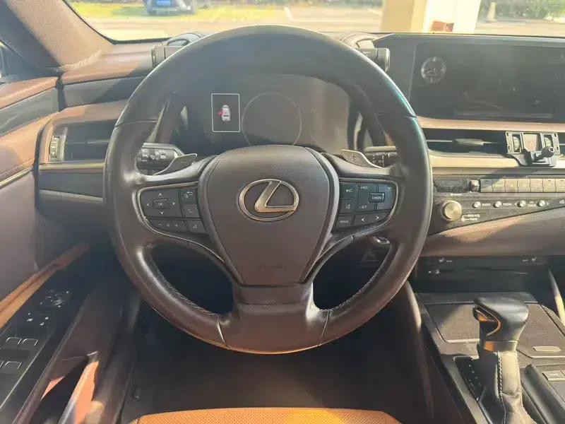 Lexus ES 2020 300h Premium Edition (China VI Emission Standard) — миниатюра 10