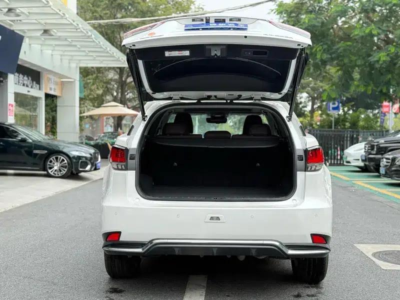 Lexus RX 2020 Facelift 450h AWD Elegant Edition — миниатюра 21