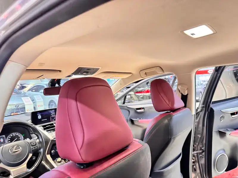Lexus NX 2020 200 FWD Avant Edition (China VI Emission Standard) — миниатюра 14