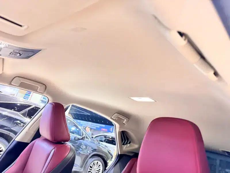 Lexus NX 2020 200 FWD Avant Edition (China VI Emission Standard) — миниатюра 24