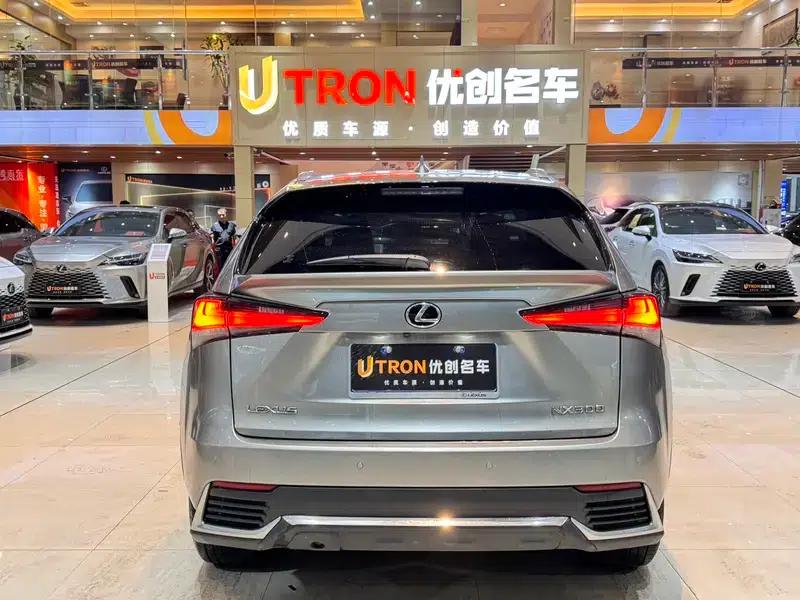 Lexus NX 2020 200 FWD Avant Edition (China VI Emission Standard) — миниатюра 4