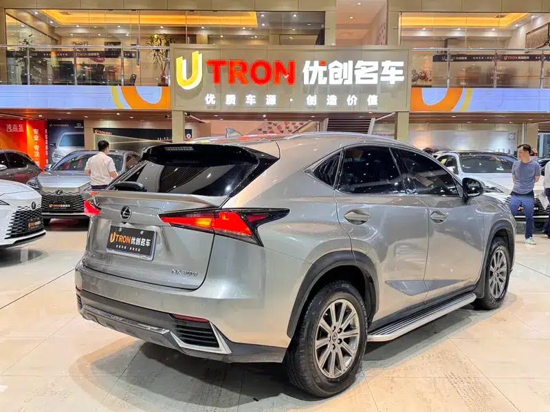 Lexus NX 2020 200 FWD Avant Edition (China VI Emission Standard) — миниатюра 5