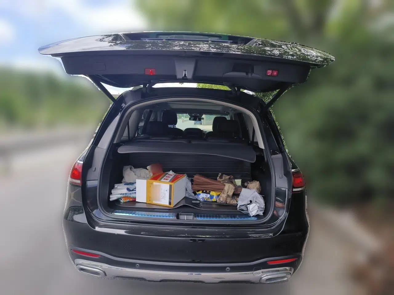 Mercedes-Benz GLS 2021 GLS 450 4MATIC Stylish Model — миниатюра 19