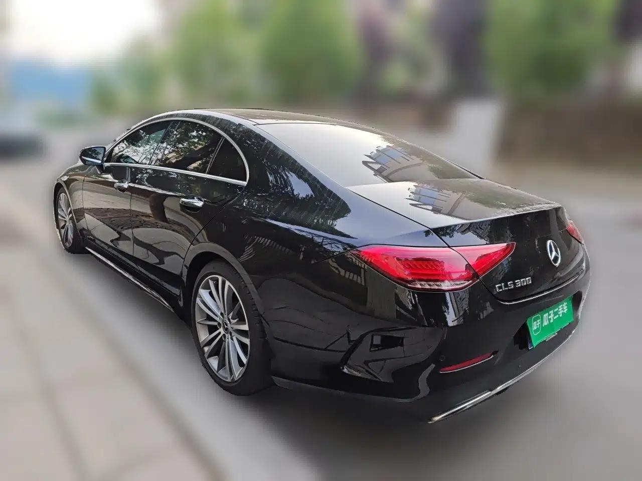 Mercedes-Benz CLS 2018 CLS 300 Luxury Model — миниатюра 4