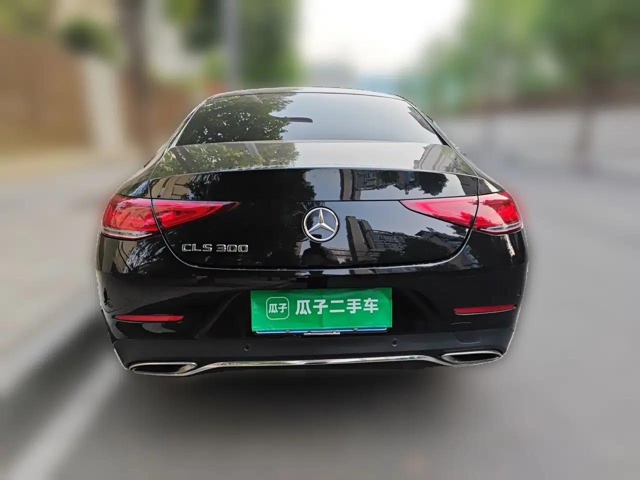 Mercedes-Benz CLS 2018 CLS 300 Luxury Model — миниатюра 5