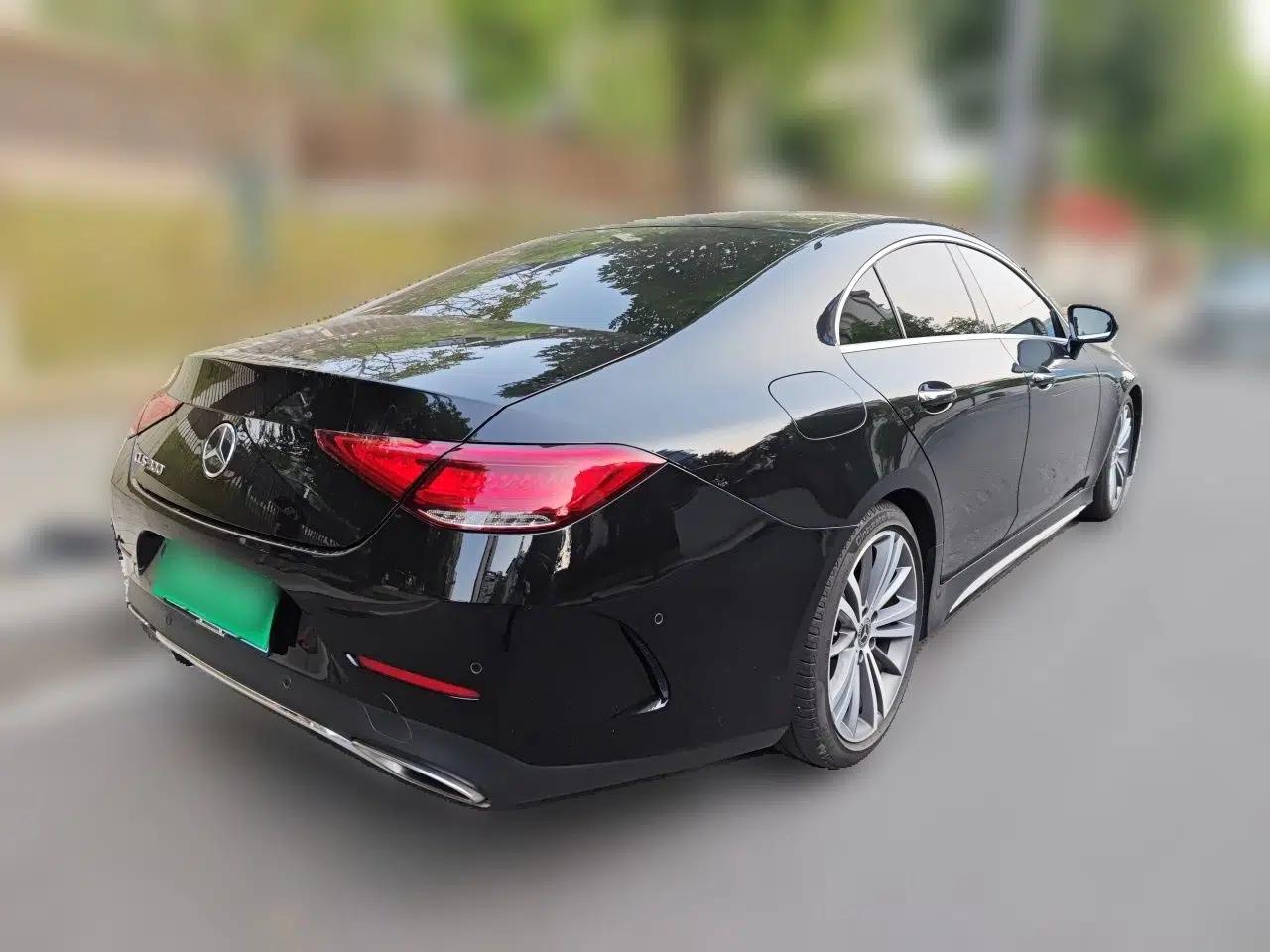 Mercedes-Benz CLS 2018 CLS 300 Luxury Model — миниатюра 6