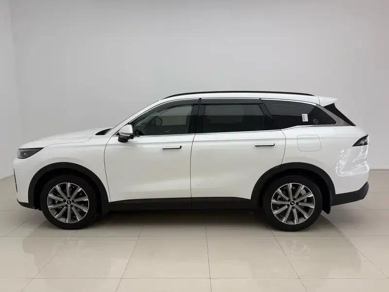 Fengyun T9 2025 Model 120KM Long Range Premium Edition (Lithium Iron Phosphate) — миниатюра 4