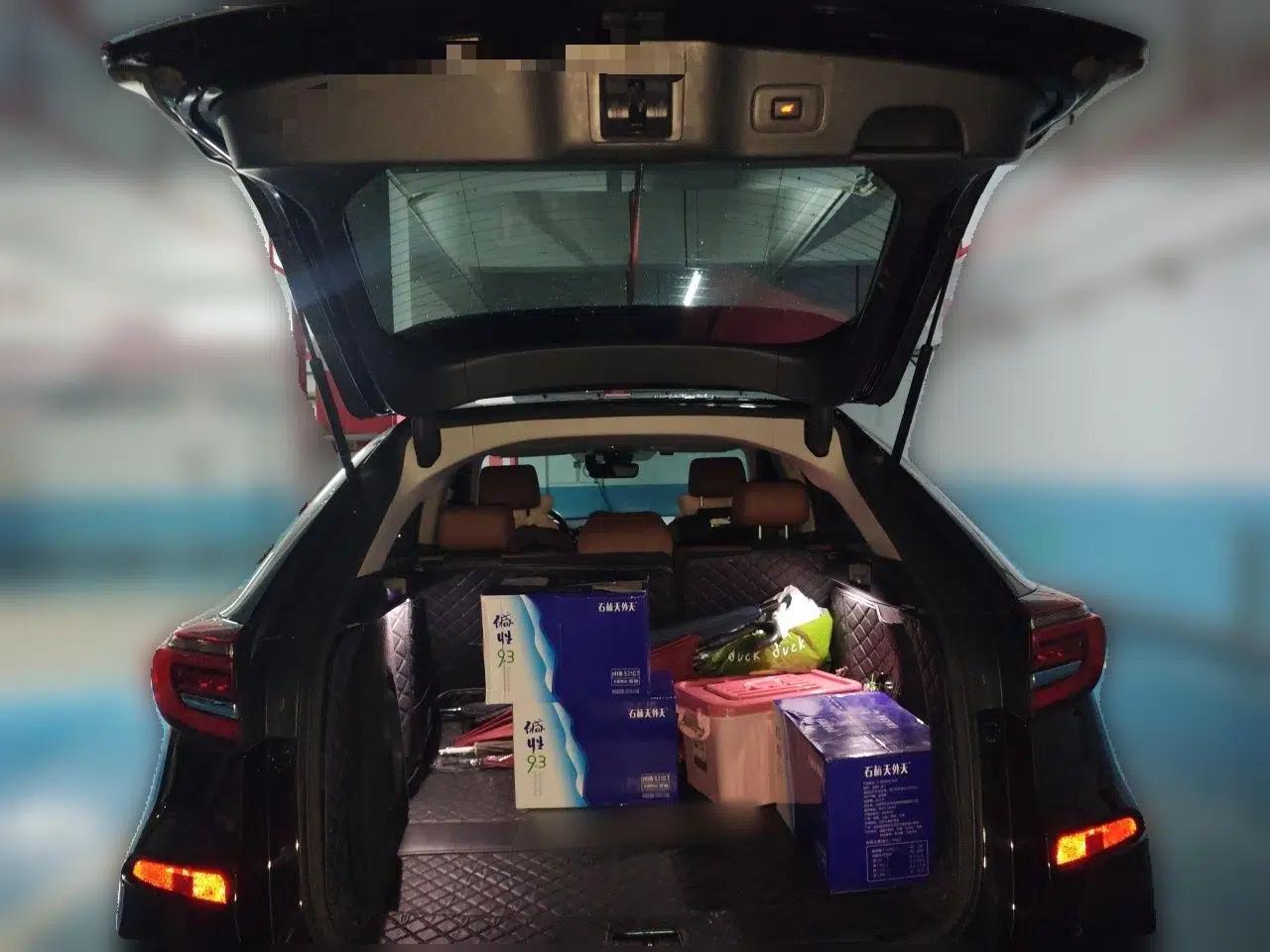 Honda Avancier 2020 370TURBO Four-Wheel Drive Supreme Edition — миниатюра 19