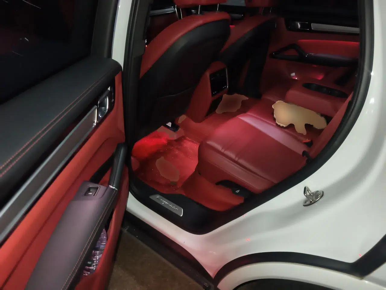 Porsche Cayenne E-Hybrid 2023 Cayenne E-Hybrid 2.0T Platinum Edition — миниатюра 17