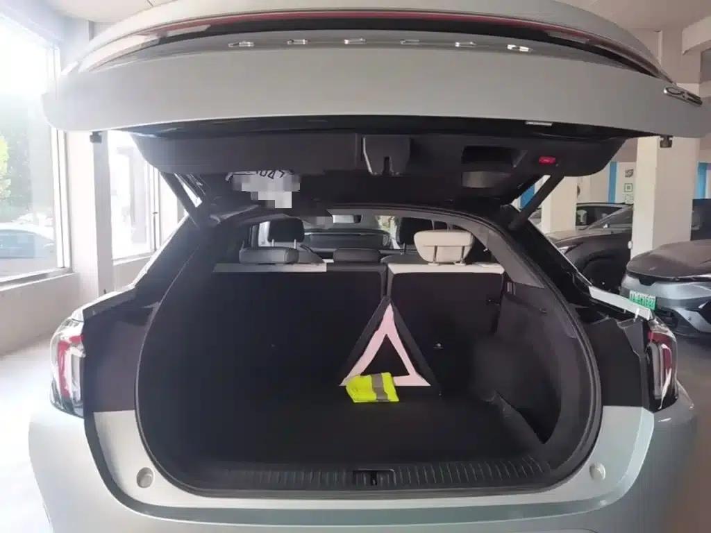 Jihu Alphard S 2023 735E+ Forest Edition 160kW — миниатюра 19