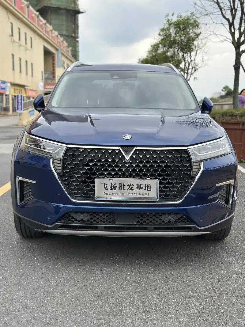 Venucia Star 2020 260T 48V Mild Hybrid Turbocharged Star Edition — миниатюра 2