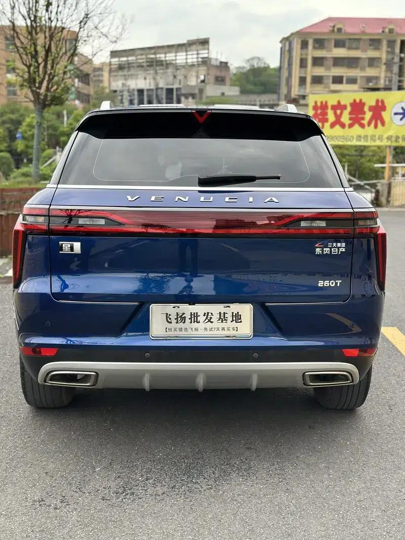 Venucia Star 2020 260T 48V Mild Hybrid Turbocharged Star Edition — миниатюра 5