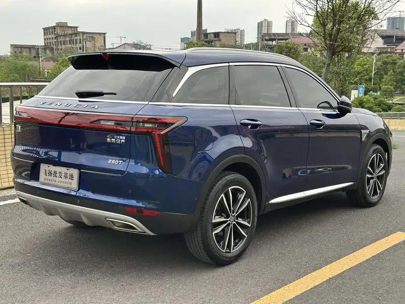Venucia Star 2020 260T 48V Mild Hybrid Turbocharged Star Edition — миниатюра 6