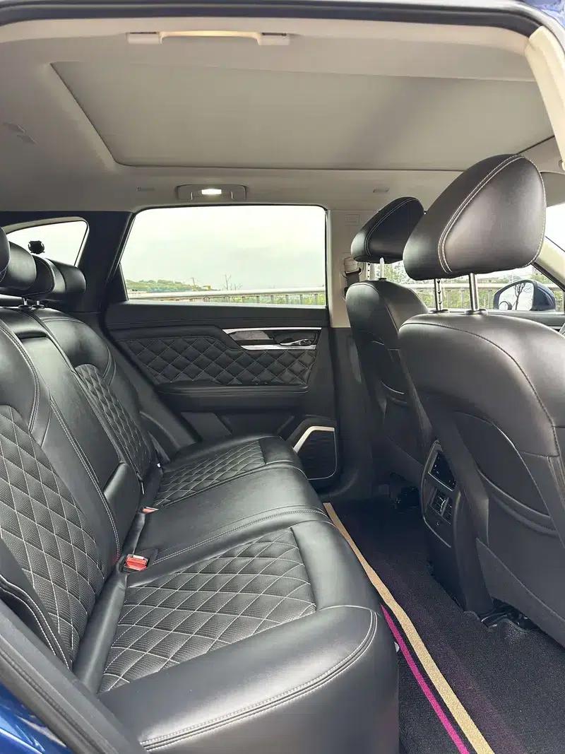 Venucia Star 2020 260T 48V Mild Hybrid Turbocharged Star Edition — миниатюра 10