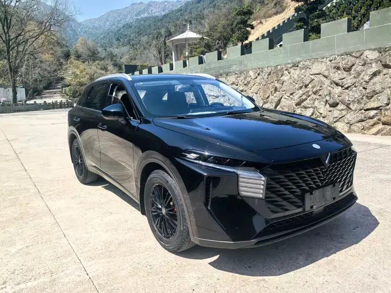 Venucia V2022 260T Dark Horse Edition - Idol — миниатюра 3