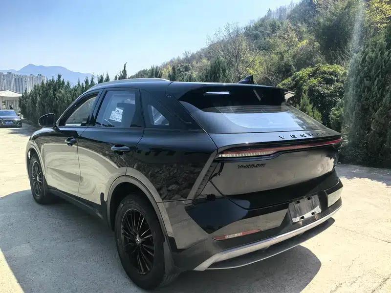 Venucia V2022 260T Dark Horse Edition - Idol — миниатюра 5