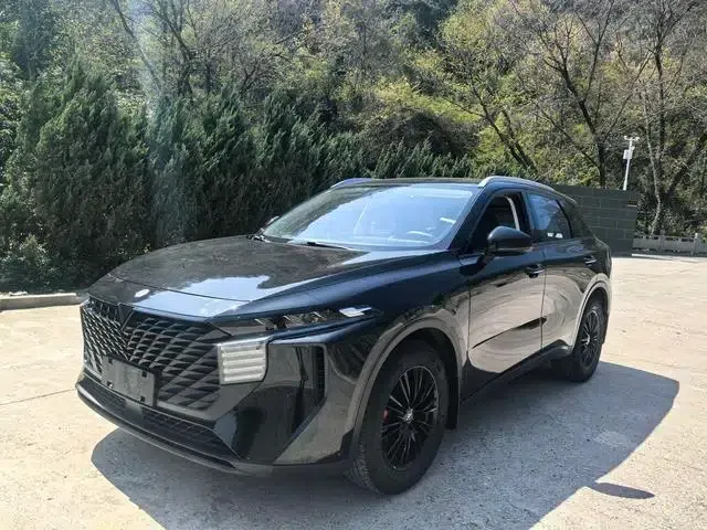 Venucia V2022 260T Dark Horse Edition - Idol