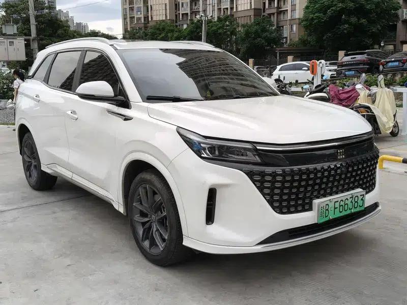 Landian E5 2024 Glory Edition 100km Premium Model — миниатюра 3