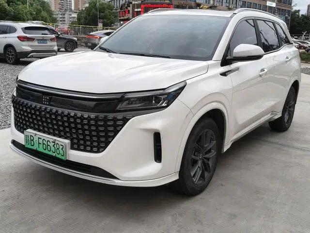 Landian E5 2024 Glory Edition 100km Premium Model