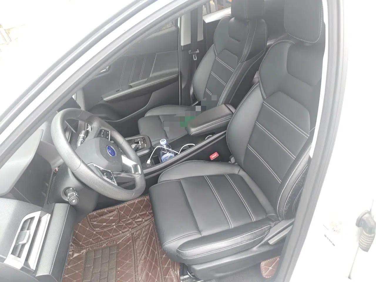 BYD e2 2019 Long-Range Version Yao·Luxury Trim — миниатюра 15