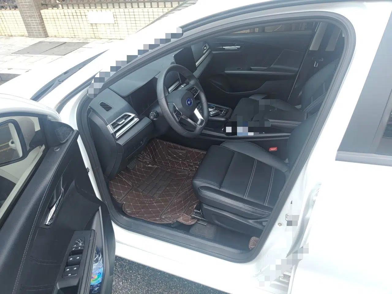 BYD e2 2019 Long-Range Version Yao·Luxury Trim — миниатюра 16
