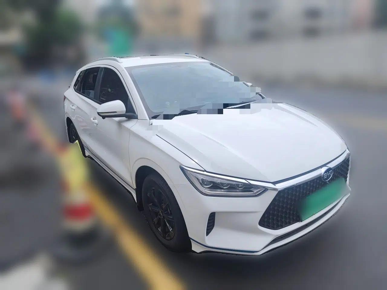 BYD e2 2019 Long-Range Version Yao·Luxury Trim — миниатюра 3