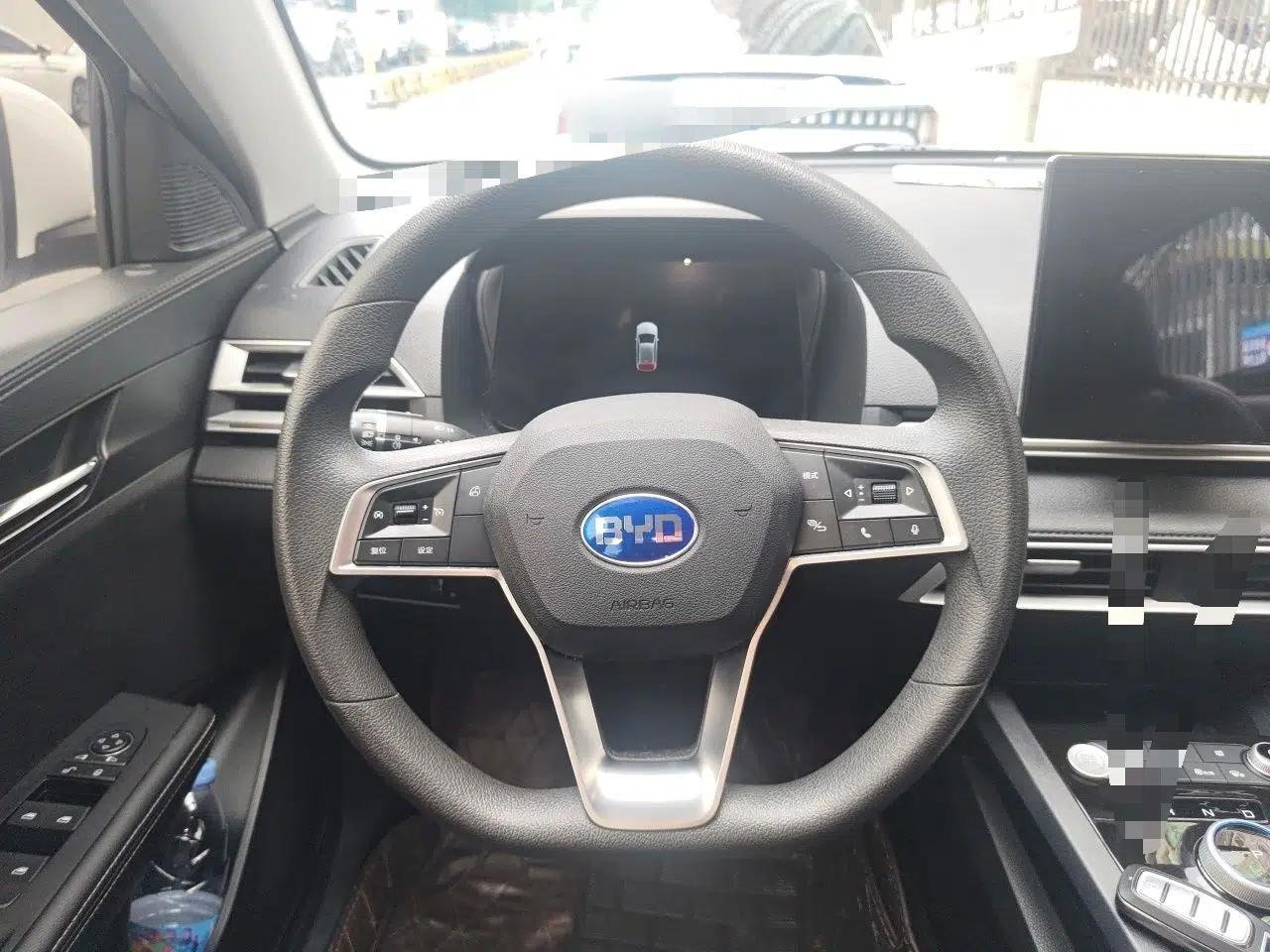 BYD e2 2019 Long-Range Version Yao·Luxury Trim — миниатюра 10