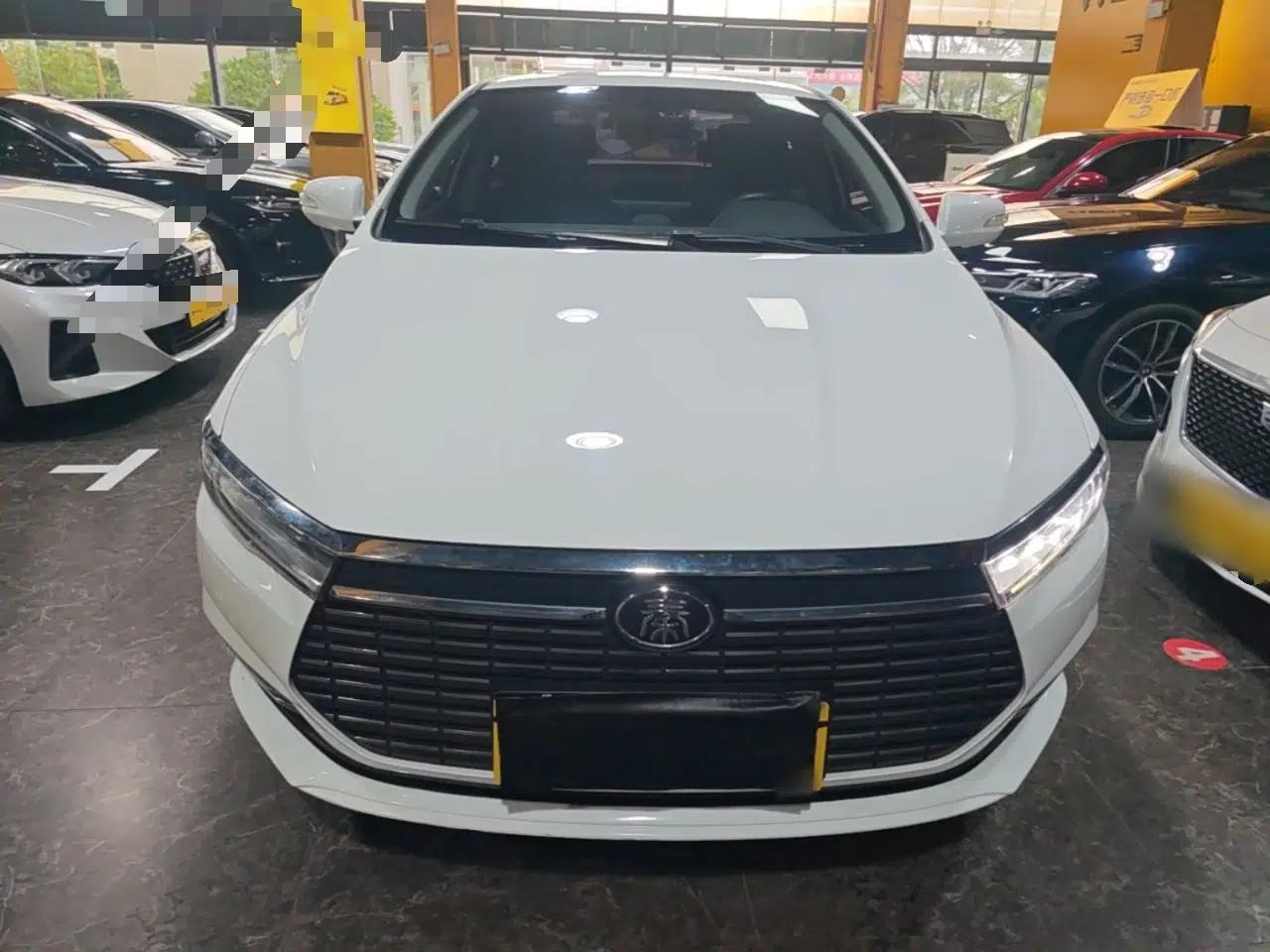 BYD Qin New Energy 2021 Travel Edition — миниатюра 2
