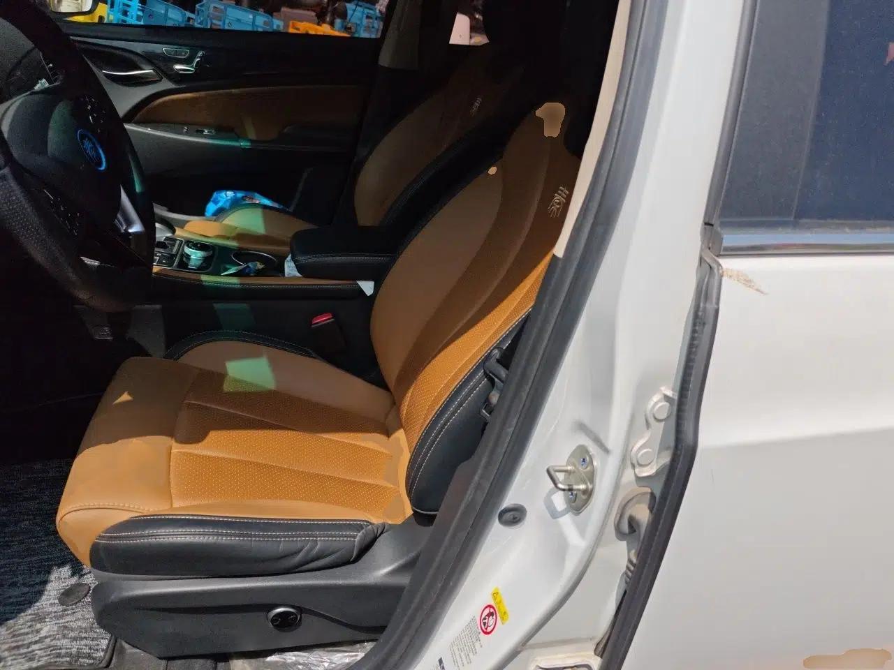 BYD Qin New Energy 2017 Qin EV300 Flagship Model — миниатюра 15