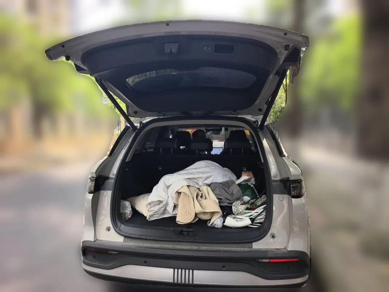 BYD Sealion 05 DM-i 2025 DM-i 75KM Prestige Model — миниатюра 19