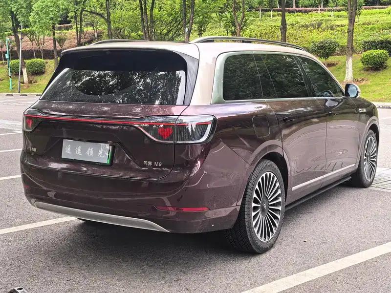 Wenjie M9 2024 Extended Range Max 5-Seater — миниатюра 6