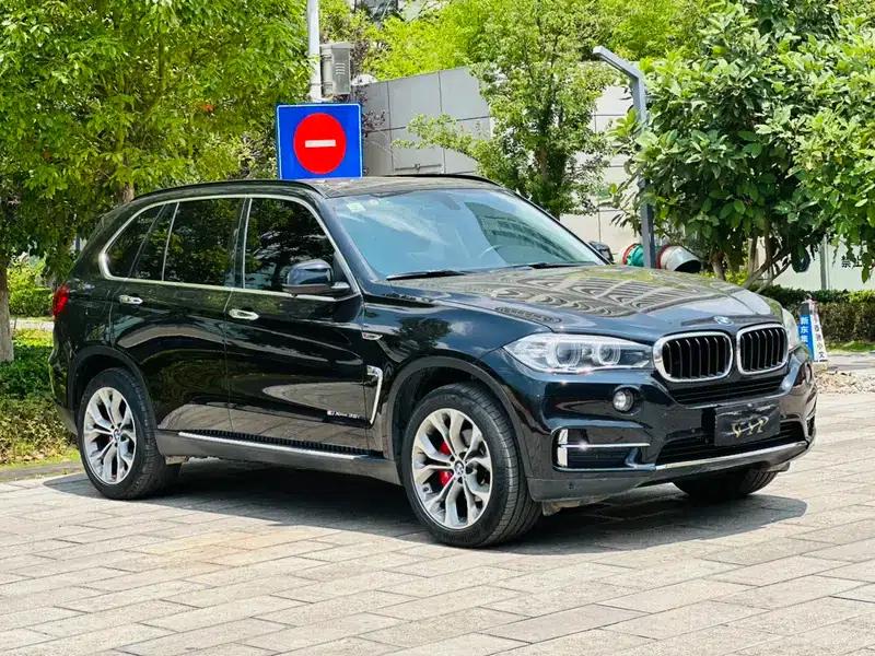 2018 BMW X5 3.0T Automatic Rear-Wheel Drive 5-Seater (Parallel Import) — миниатюра 3