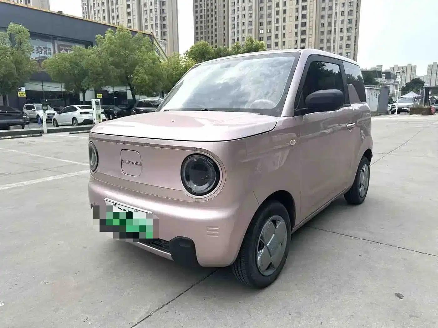 Panda 2023 Panda Mini 200km Endurance Bear — миниатюра 1