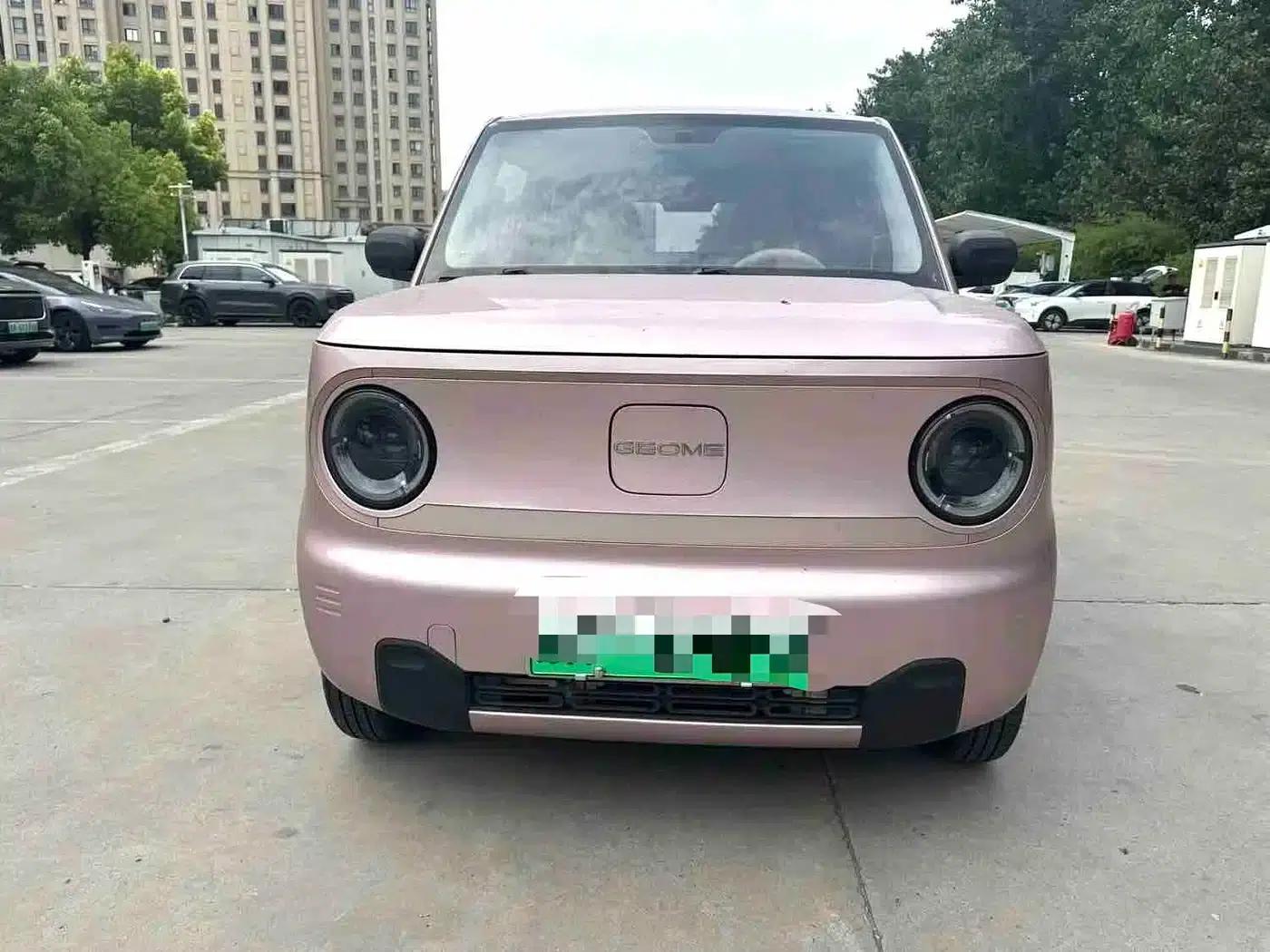 Panda 2023 Panda Mini 200km Endurance Bear — миниатюра 2