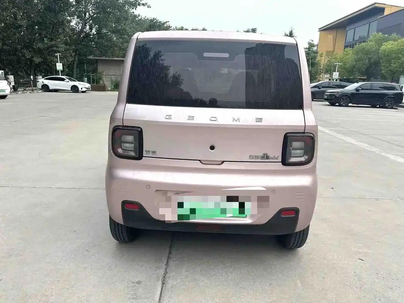 Panda 2023 Panda Mini 200km Endurance Bear — миниатюра 4