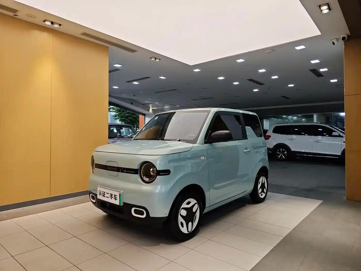 Panda 2025 Panda Mini 210km - Energetic Bear — миниатюра 1