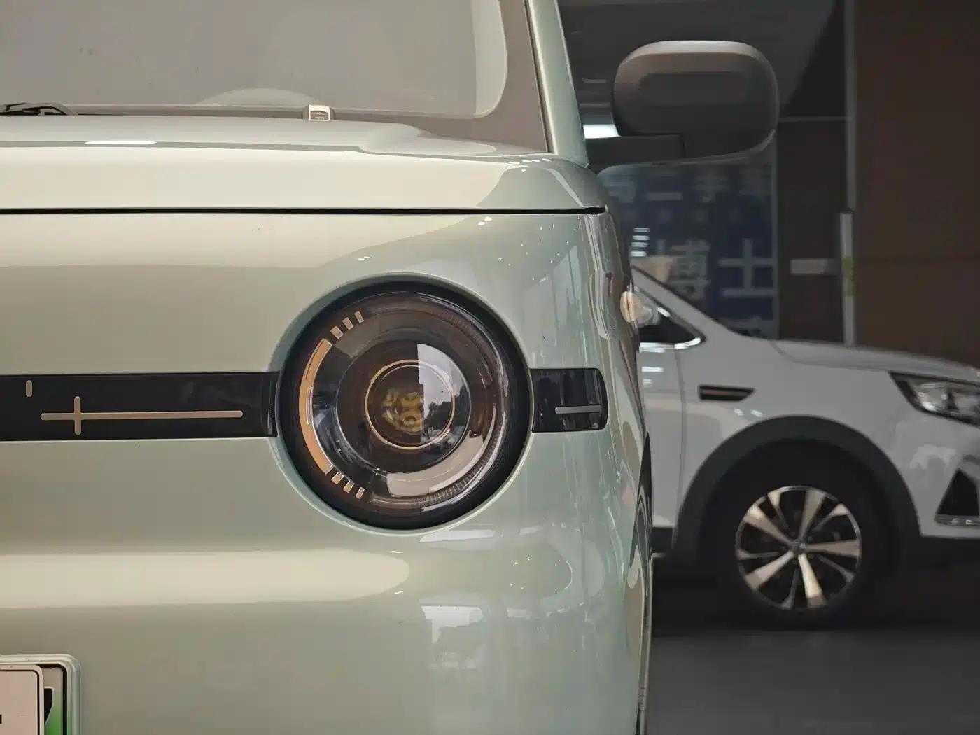 Panda 2025 Panda Mini 210km - Energetic Bear — миниатюра 2