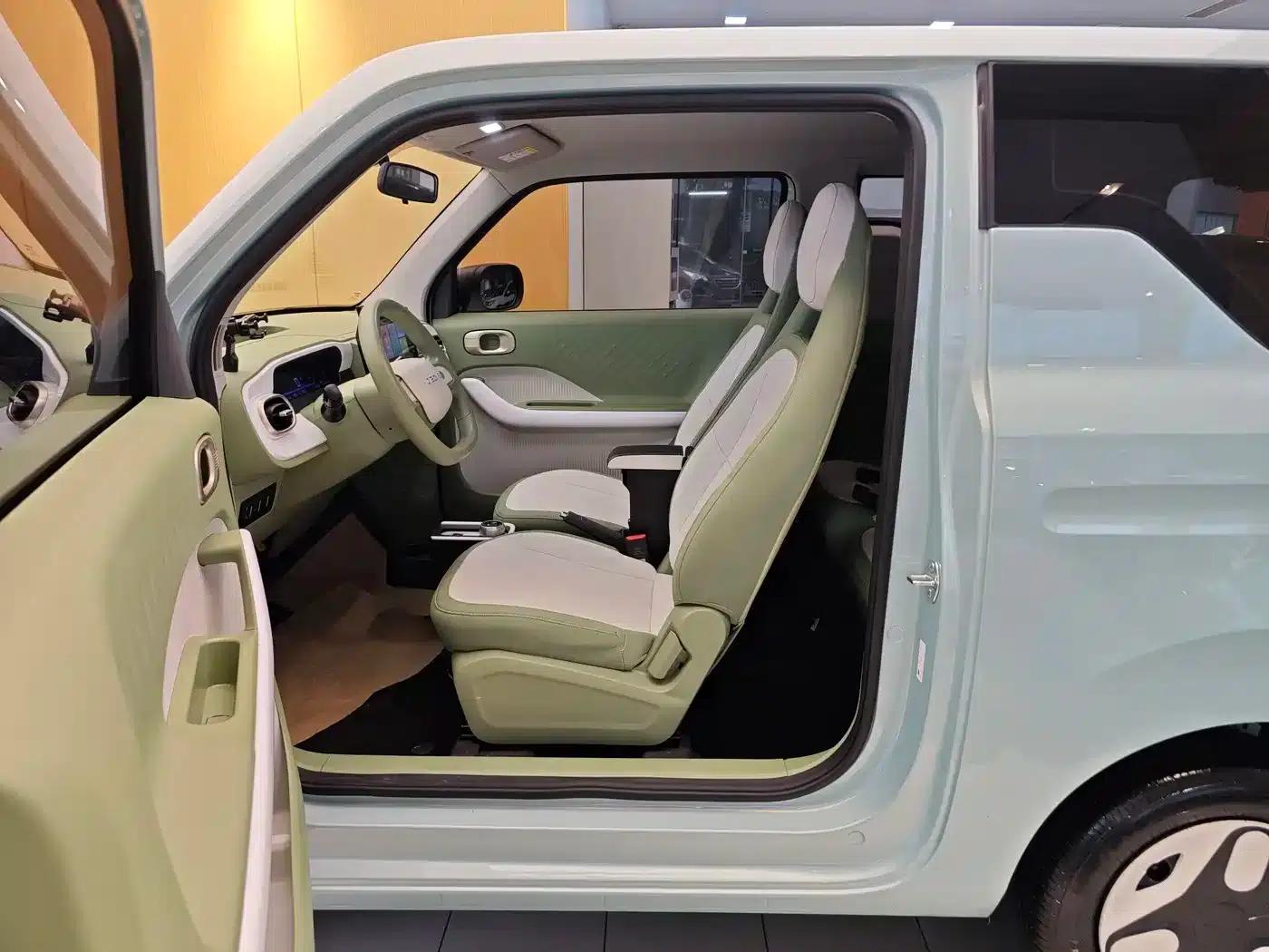 Panda 2025 Panda Mini 210km - Energetic Bear — миниатюра 14
