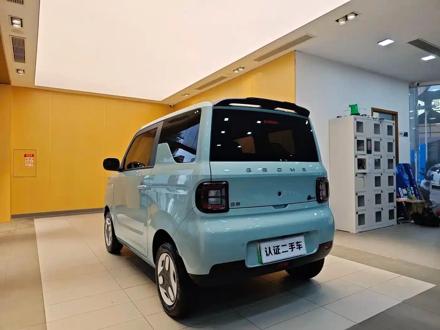 Panda 2025 Panda Mini 210km - Energetic Bear — миниатюра 23