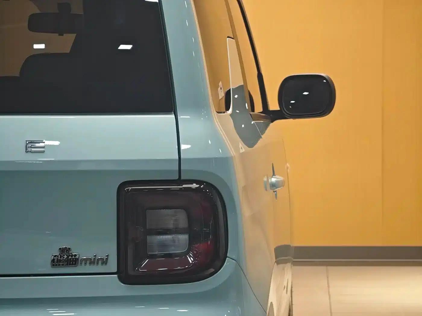 Panda 2025 Panda Mini 210km - Energetic Bear — миниатюра 24