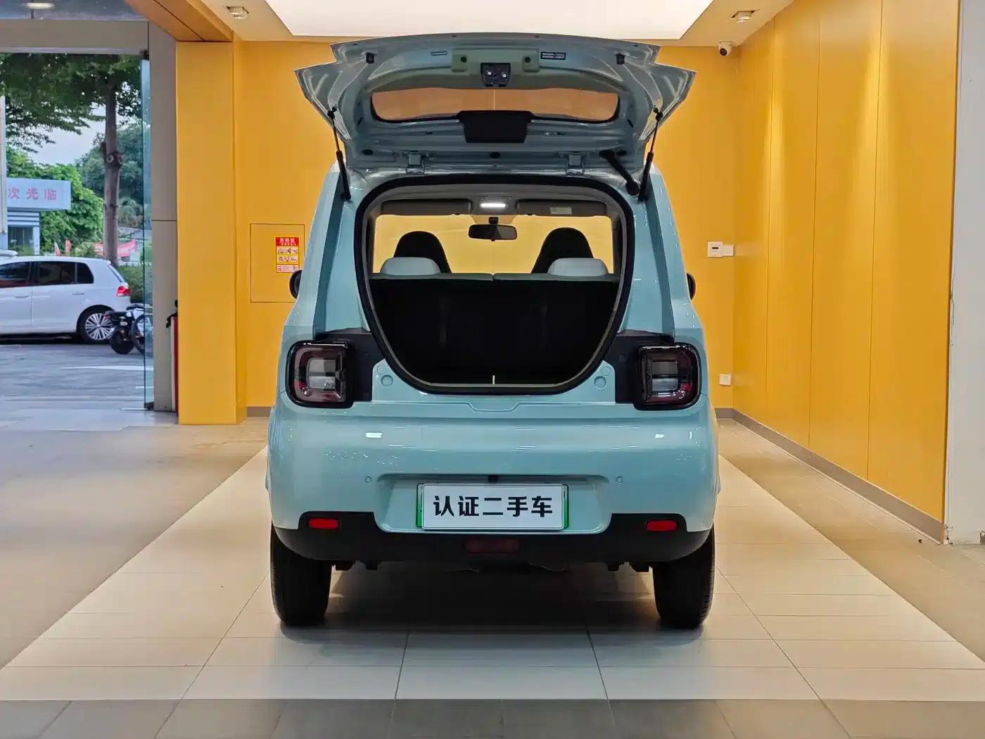 Panda 2025 Panda Mini 210km - Energetic Bear — миниатюра 25
