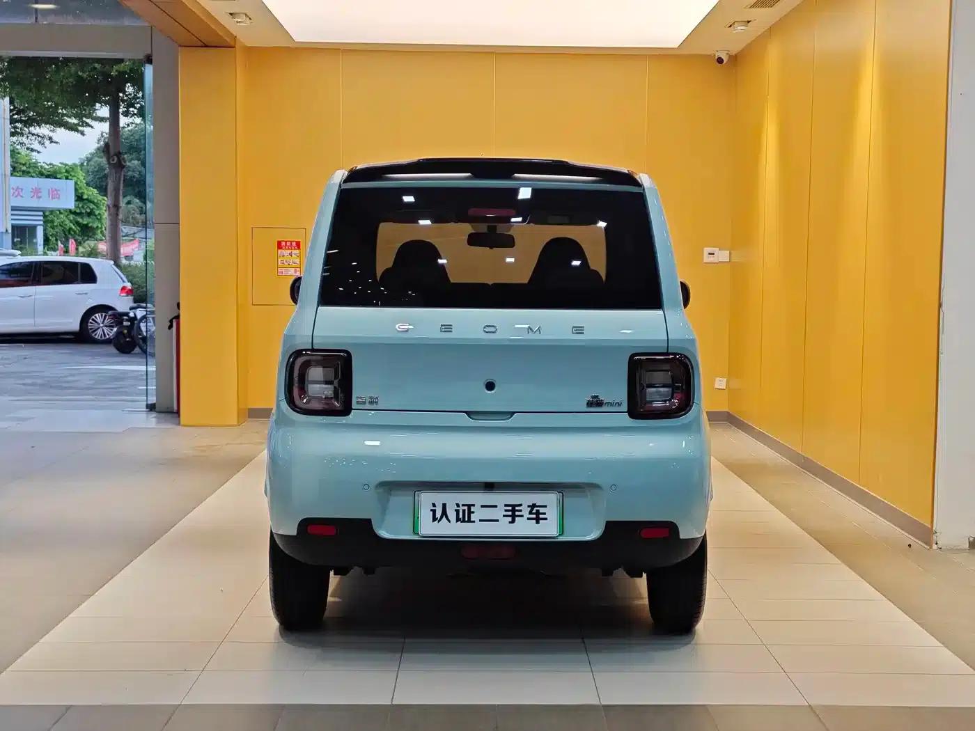Panda 2025 Panda Mini 210km - Energetic Bear — миниатюра 26