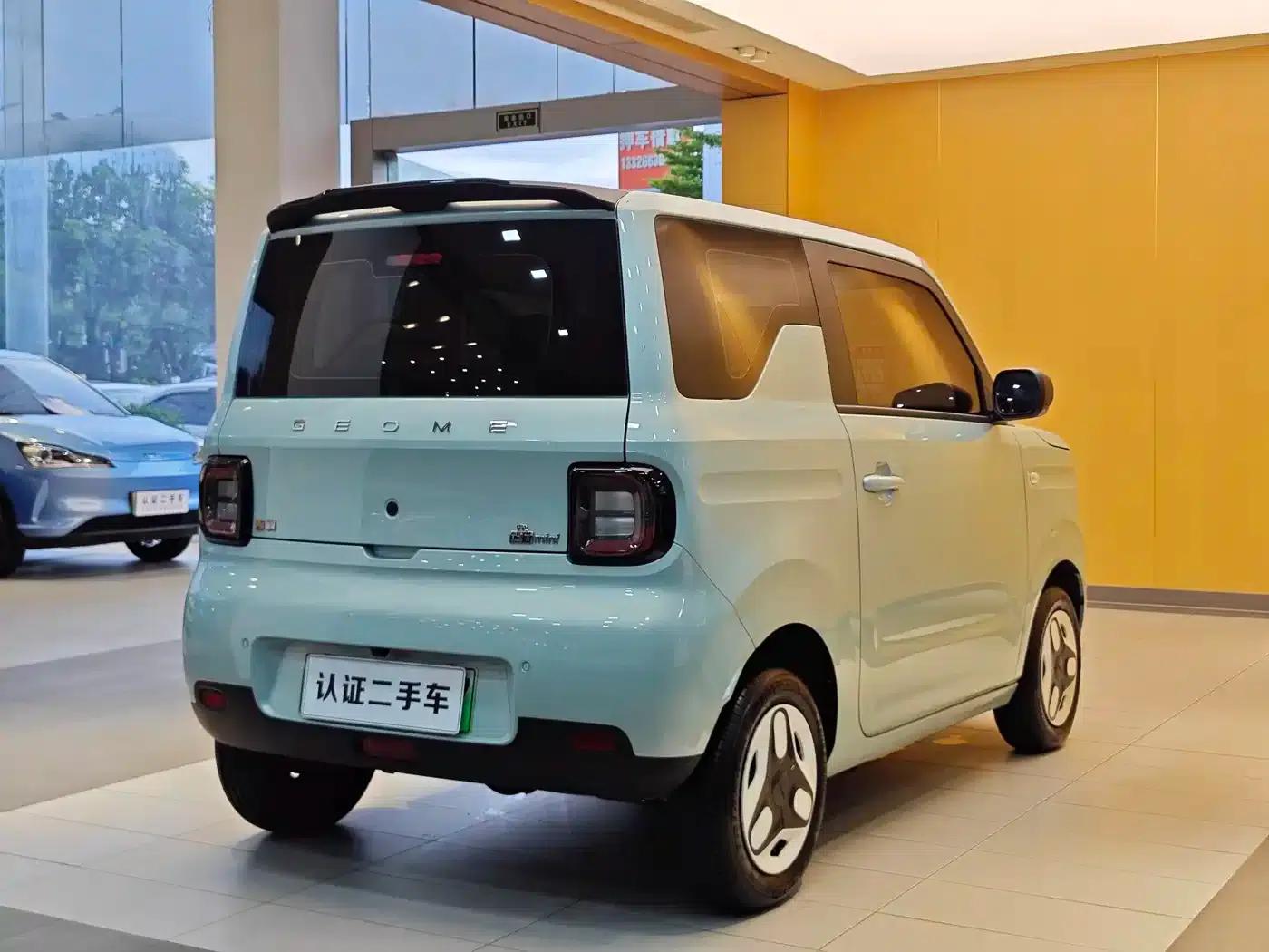 Panda 2025 Panda Mini 210km - Energetic Bear — миниатюра 27