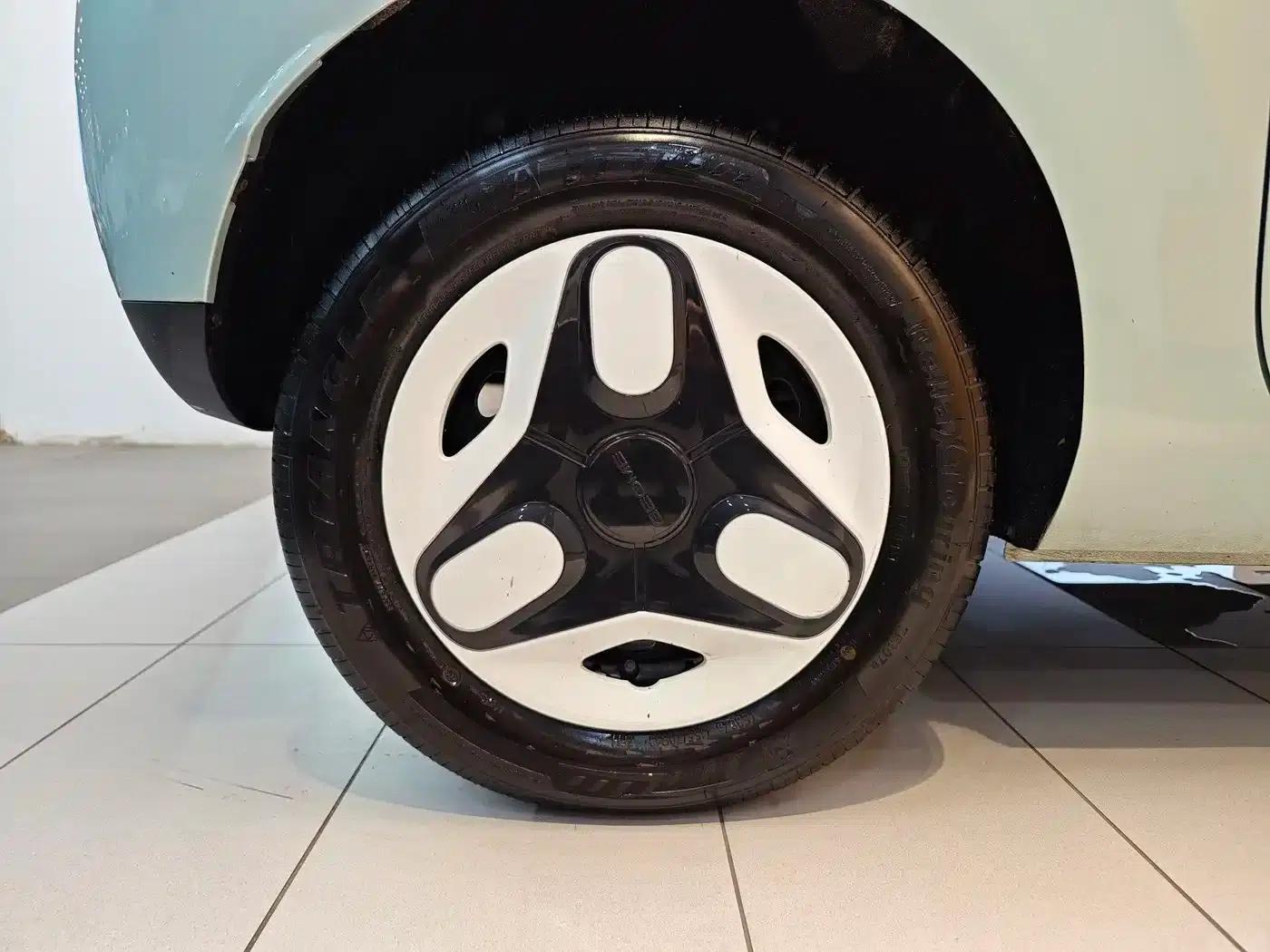 Panda 2025 Panda Mini 210km - Energetic Bear — миниатюра 28