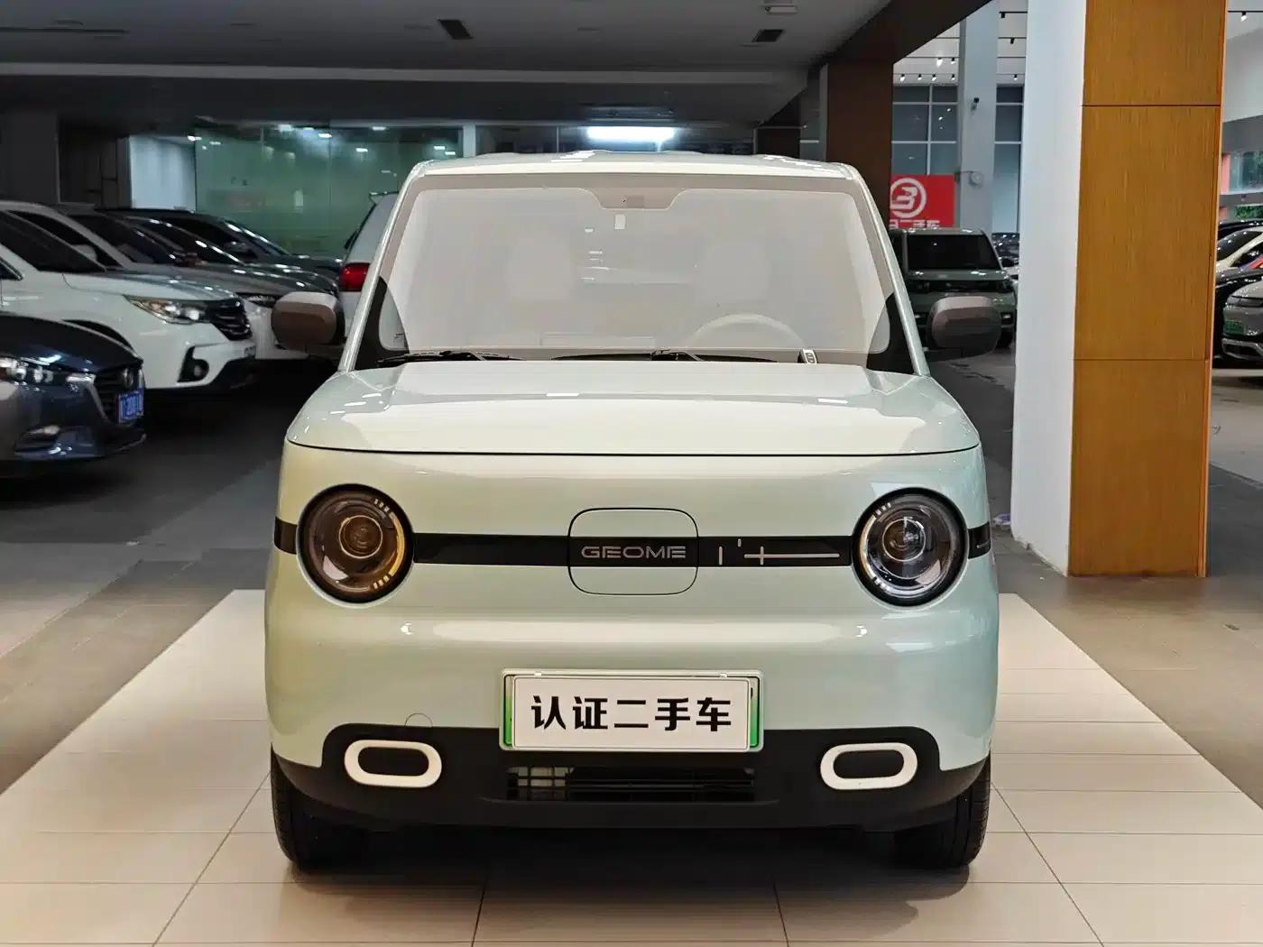 Panda 2025 Panda Mini 210km - Energetic Bear — миниатюра 4